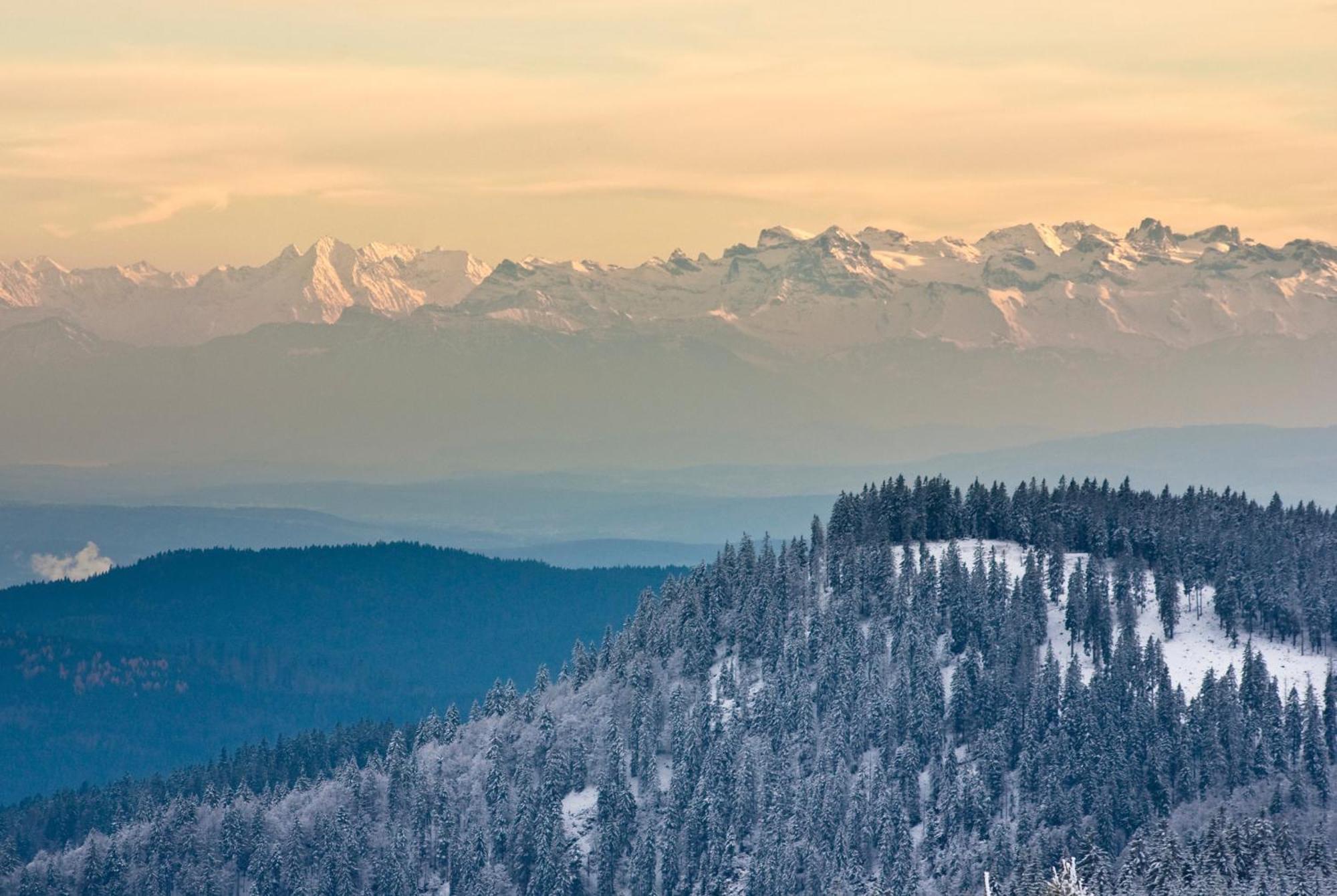 Апартаменты Residenz Grafenmatt "Abendsonne" Фельдберг Экстерьер фото